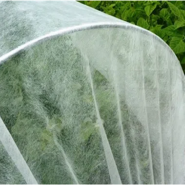 Nonwoven.