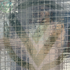 Reinforcing aluminum foil scrim kraft paper facing FSK thermal panels