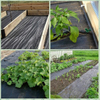Multi-scene laying of black PP weed barrier fabric for planter boxes & vegetable beds, weed control & soil moisture retention