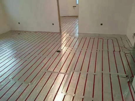 1000039569.jpg