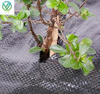 Main image of durable black PP woven weed barrier mat, garden seedling mulch, breathable weed suppression farm ground cover