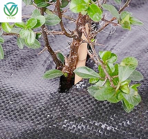 Main image of durable black PP woven weed barrier mat, garden seedling mulch, breathable weed suppression farm ground cover