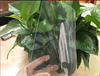 Retrofit-Friendly Durable No-Punch Plastic Night Cover for Existing Refrigeration Units